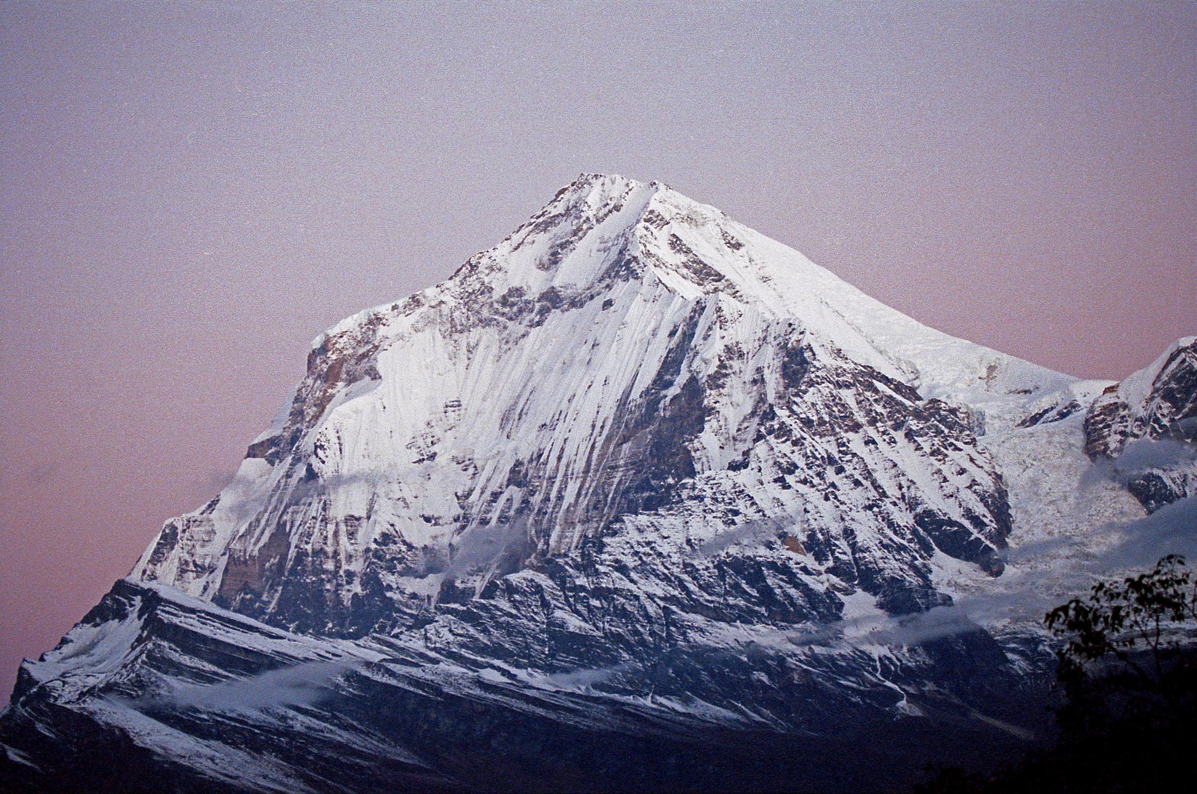 201 Dhaulagiri Just Before Sunrise Dhaulagiri close up in the rose coloured light just before sunrise from Shepherds Kharka (3760m) on the way to Annapurna North Base Camp.